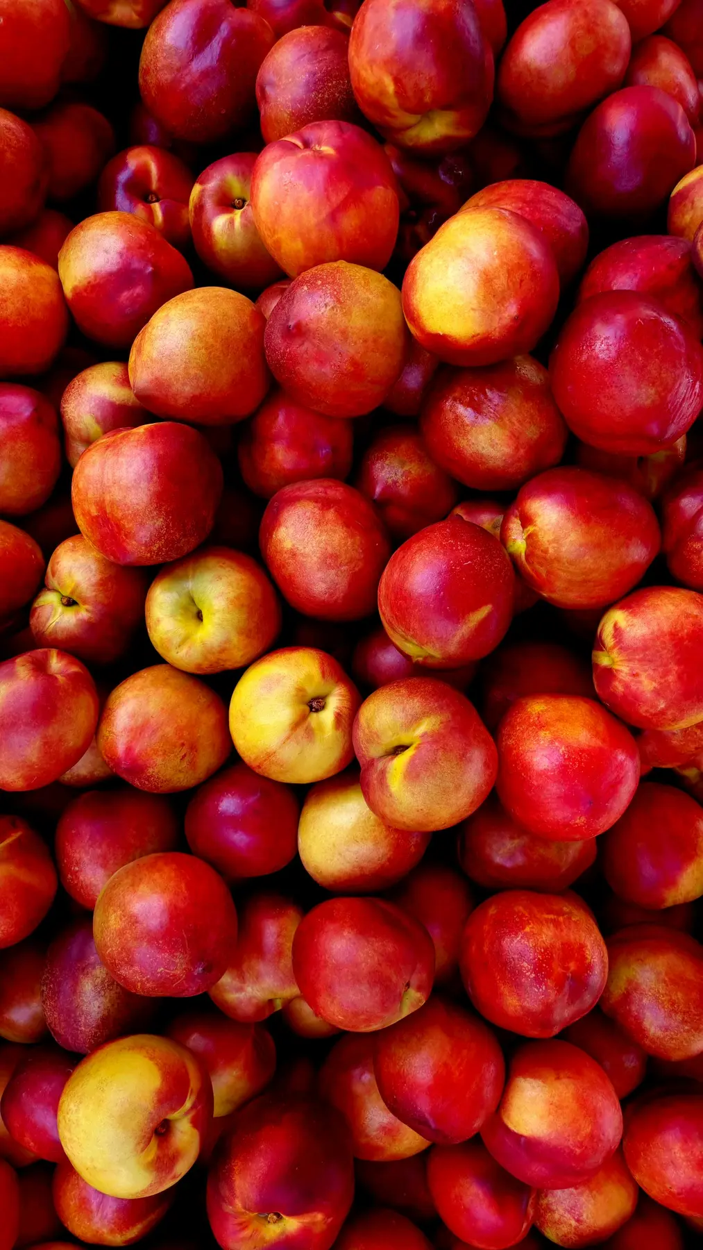 Pommes rouges
